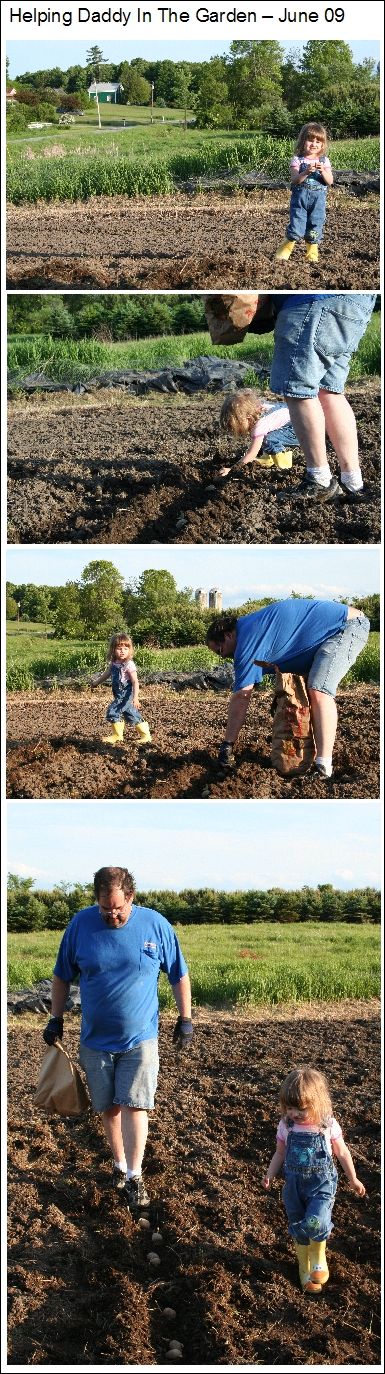 Garden Helper